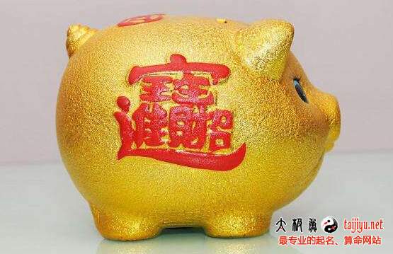 金豬寶寶