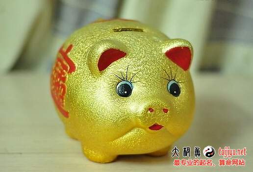 金豬