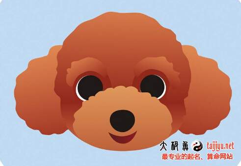 2018屬狗寶寶名字大全