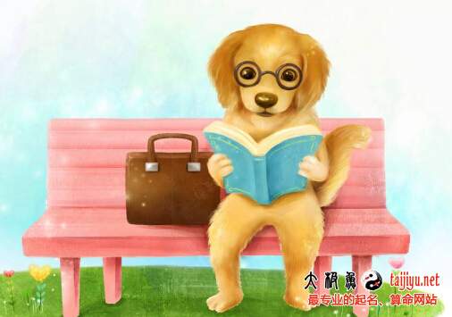 狗年寶寶名字大全,屬狗孩子取名