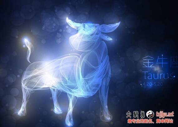 金牛座的特點以及愛情財運運勢