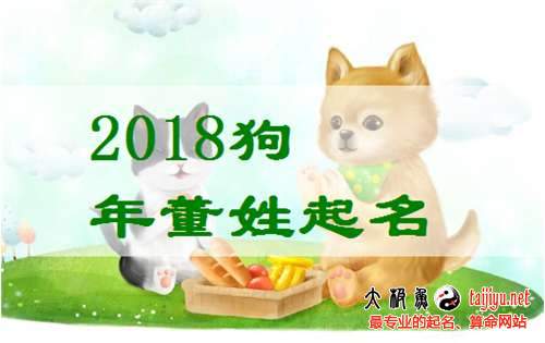 董姓男寶寶名字大全,好聽的董姓女寶寶起名2018狗年