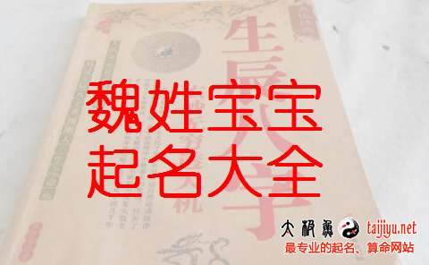 魏姓男寶寶起名大全,2018狗年魏姓女寶寶名字大全