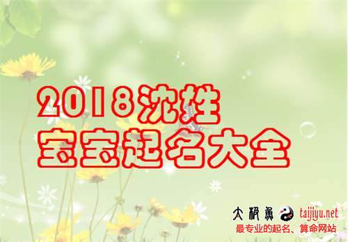 沈姓男寶寶起名大全,2018狗年沈姓女寶寶名字大全