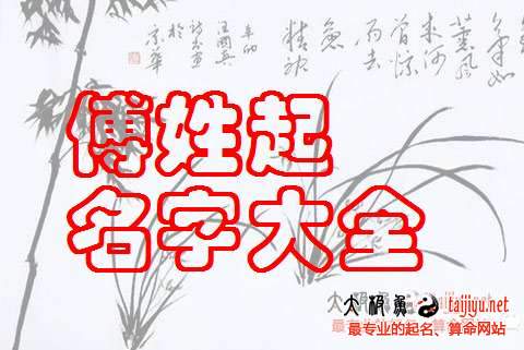 傅姓男寶寶起名、傅姓女寶寶名字大全2018狗年