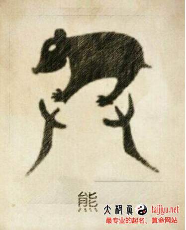 熊姓姓氏起源