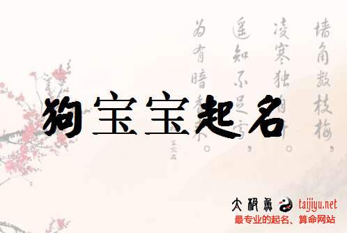 起名字大全男孩屬狗,屬狗男寶寶起名字大全