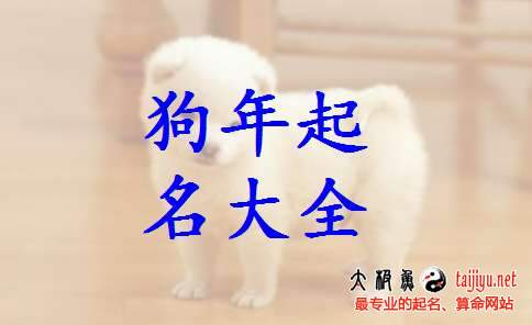 2018狗年出生的男寶寶名字
