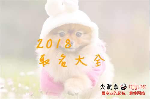 2018狗年女寶寶起名大全