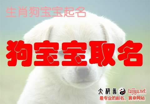 100分的狗年寶寶起名名字大全