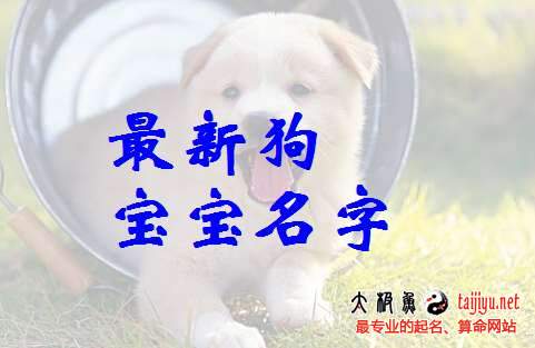 2018狗年名字大全女孩