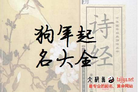 屬狗女孩起名大全:600個好聽的名字