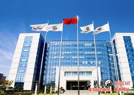 周易公司起名測名字打分