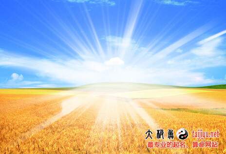 農業公司起名名字大全