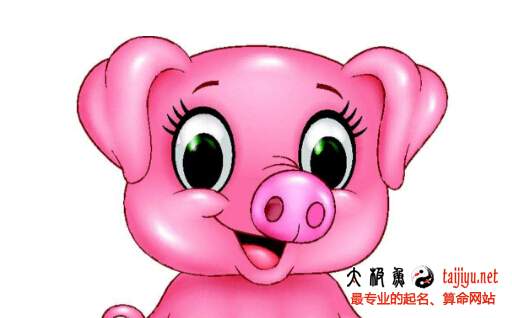 豬年寶寶五行八字起名字大全