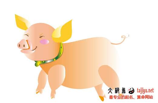 2019年屬豬的寶寶起名字大全