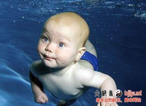 2018狗年最新男孩起名