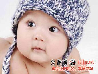 雞年起名宜用字是什么?