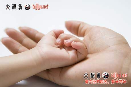 狗寶寶吉祥好聽(tīng)的名字大全2018