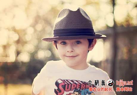 2018狗年姓張的男孩名字,張姓男寶寶起名大全