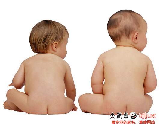 2015年羊寶寶《詩經》《楚辭》起名大全