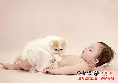 猴寶寶起小名方法與大全