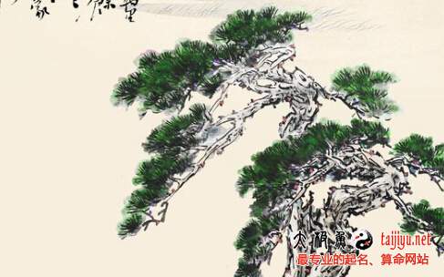 2019年4月出生豬寶寶起名,豬年四月出生寶寶取名大全