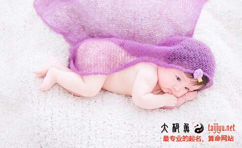 最新豬寶寶起名取名大全