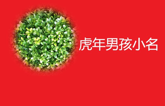 2022虎年男寶寶取什么小名最好聽
