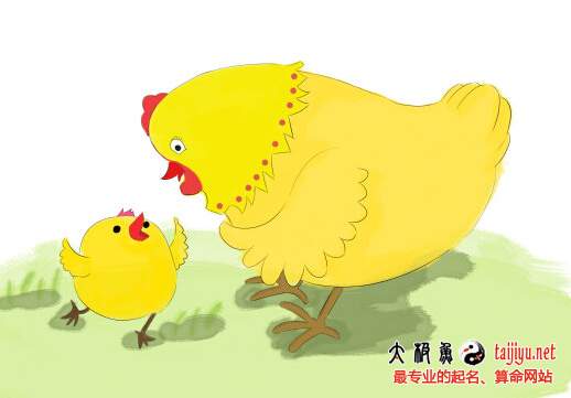 2017最新雞年男孩子名字大全,屬雞起名字大全男孩