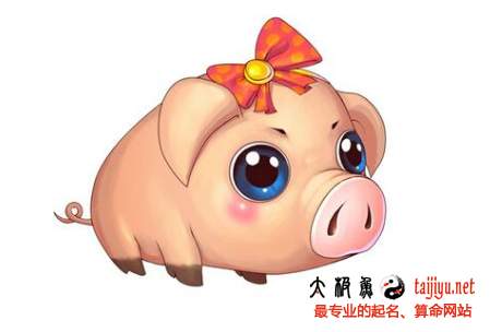 2016年屬豬人的運(yùn)勢(shì)