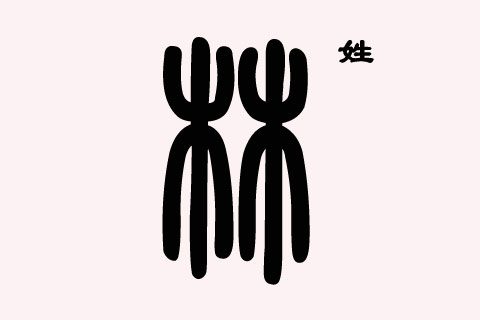 2025蛇年林姓男孩/女孩吉祥名字大全