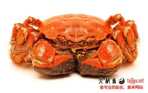 大閘蟹水產店公司起名取名大全