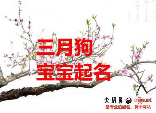 狗年三月出生寶寶起名,狗年3月寶寶名字大全