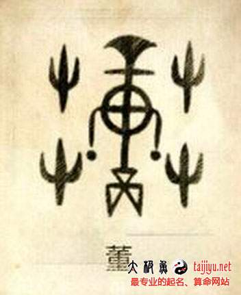 董姓