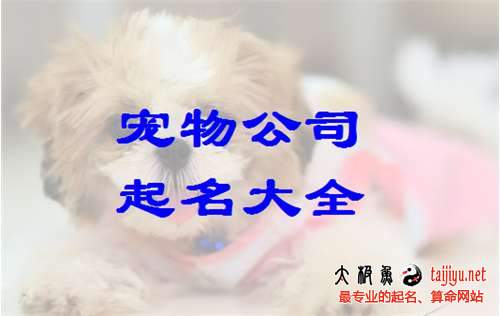 最新寵物用品公司名字大全