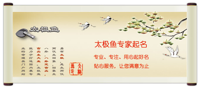 太極魚寶寶起名,專家起名,百家姓起名