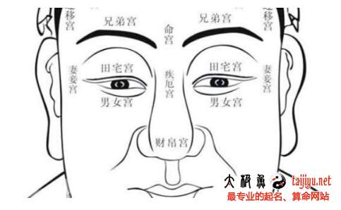 看相算命