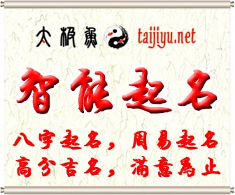 太極魚智能起名網