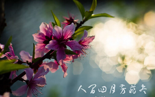 2022虎年4月(四月)出生寶寶起名名字大全