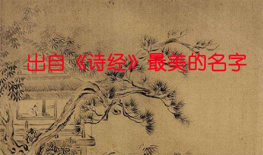 牛年出生寶寶出自《詩經》最美的名字大全