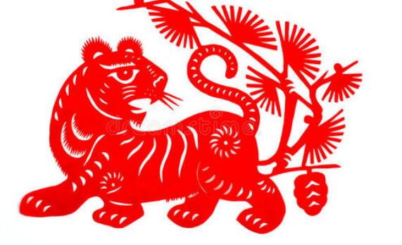 虎年起名帶“森”字的吉祥名字大全