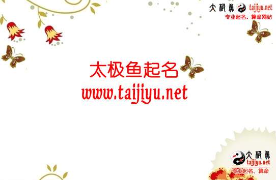 寶寶起名