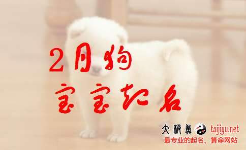 狗年2月/二月出生寶寶起名取名2018