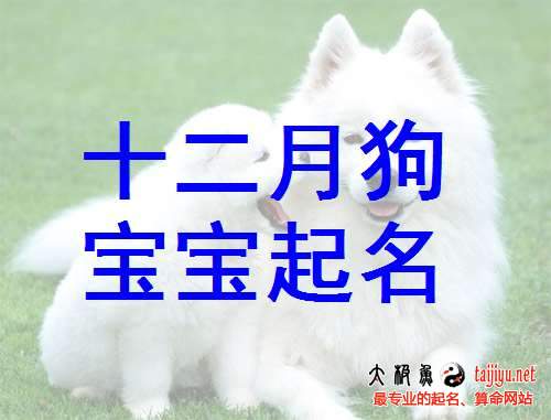 十二月出生寶寶起名取名2018狗年