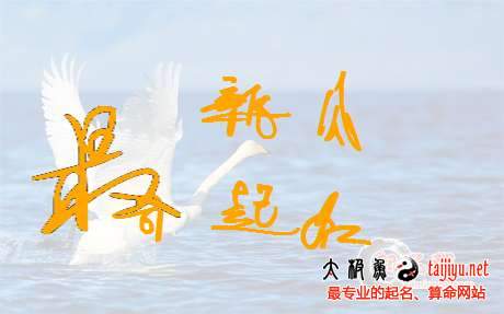 最新各行業公司起名常用字大全