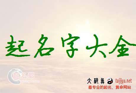 最新好聽的公司名字大全