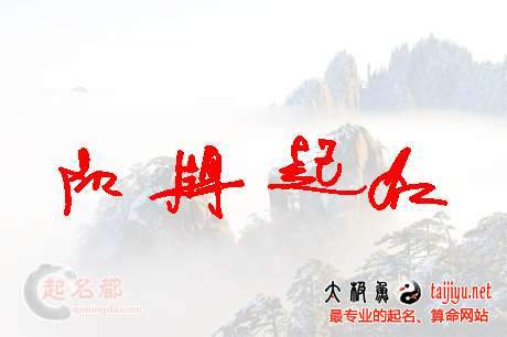 最新生態(tài)農(nóng)業(yè)公司起名大全
