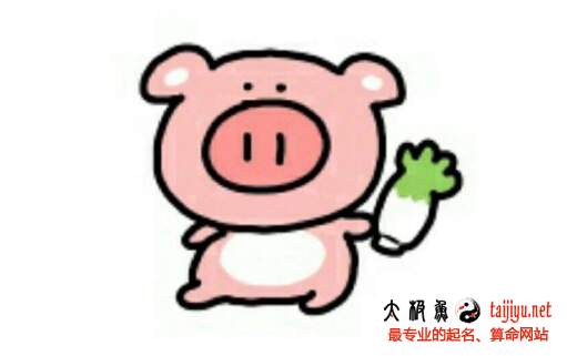 適合豬寶寶的好聽名字大全