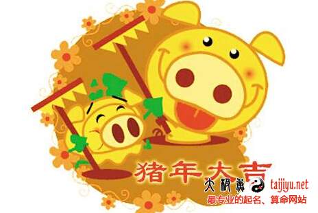 2019年豬寶寶洋氣的乳名小名